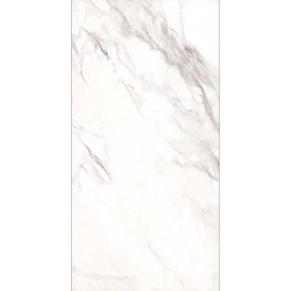 ALPINO GREY 60x120