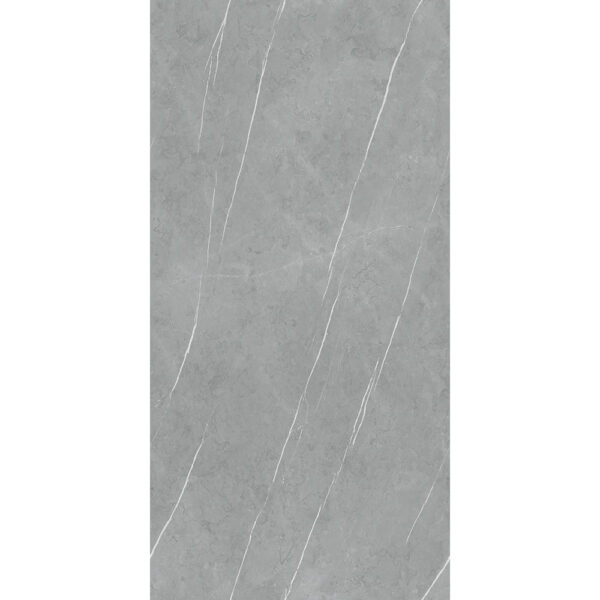 PIETRA REGIO GREY MATT 80x160