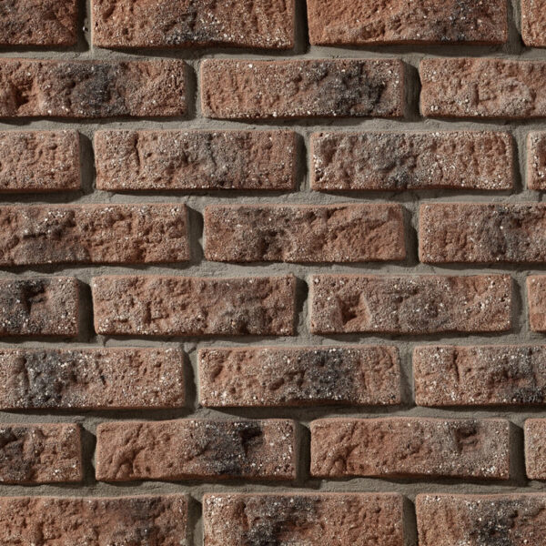 Caramida Aparenta Rustik 568 Beton (1mp), Stegu
