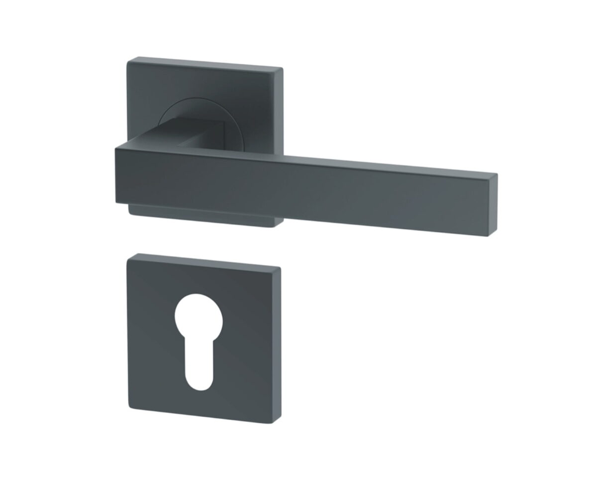 Maner-usa-Metal-Bud-Ergo-Eco-cu-rozeta-inchidere-pentru-butuc-cilindru-Nichel-Mat