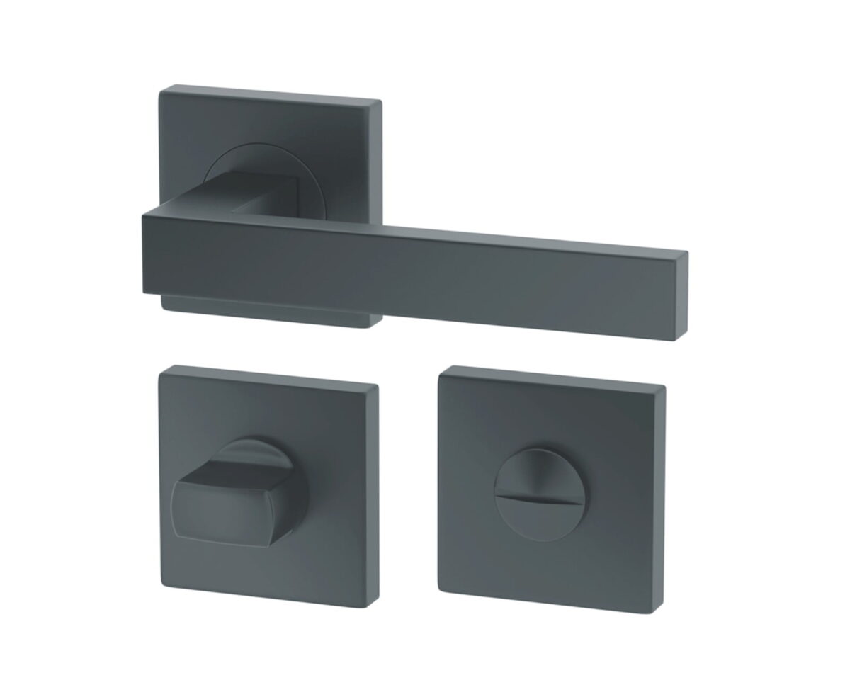 Maner-usa-Metal-Bud-Ergo-Eco-cu-rozeta-pentru-inchidere-WC-Nichel-Mat